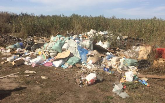 Со стихийной свалки под Железногорском вывезли 15 тонн мусора