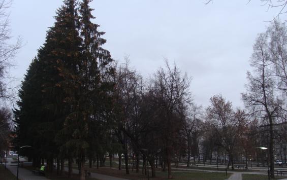 В парках Курска установили видеокамеры