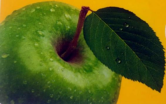 Курских врачей поблагодарили яблоками