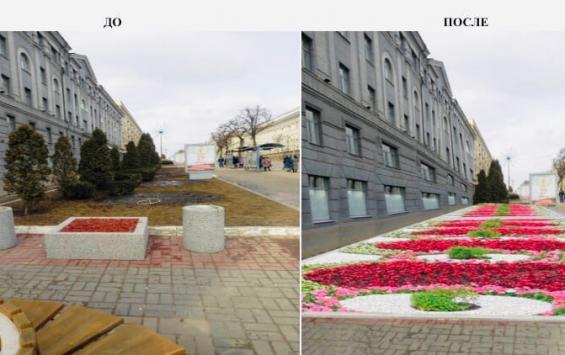 В Курске изменится цветочное оформление улиц