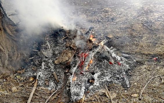 За март в Курске произошло более полусотни пожаров
