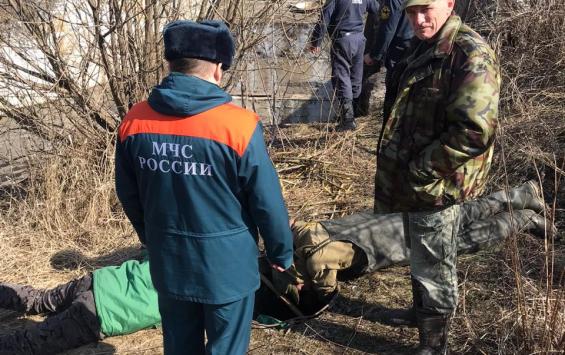В Курской области спасли двух бобров
