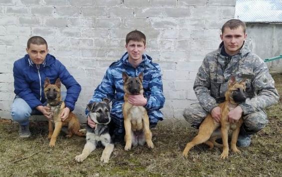 Четыре щенка прибыли на службу в УФСИН Курской области
