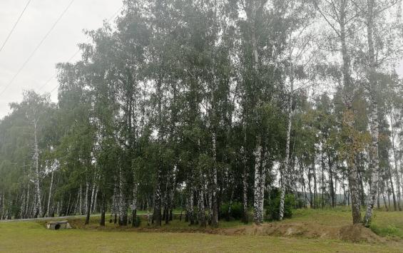 В Обоянском районе высадят 5 тысяч сеянцев деревьев и кустарников