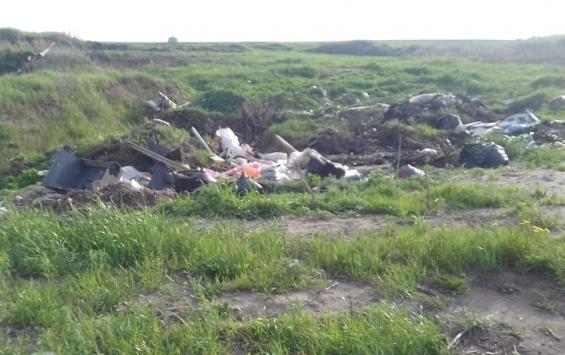 Захват земель в Курском районе совместили с мусорным прессингом