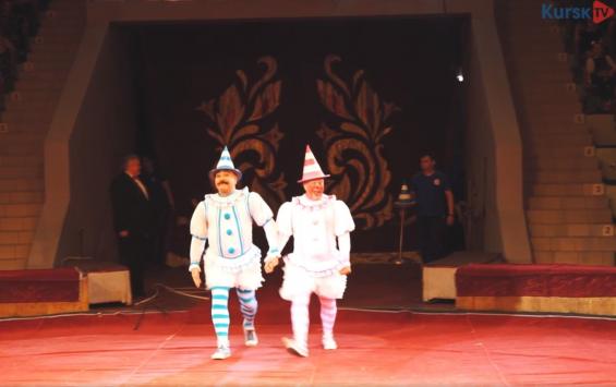 Шоу «Морские гиганты» в Курском цирке