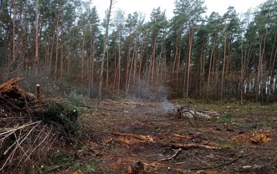 В Горшеченском районе уничтожили три гектара леса