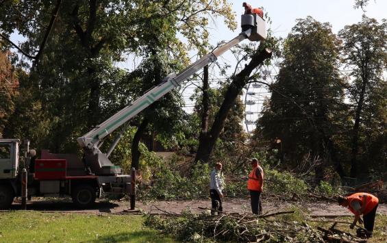В Первомайском парке спиливают аварийные деревья