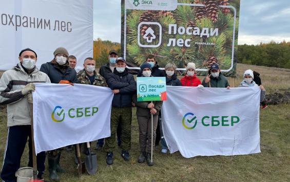 В Курске Сбер поддержал акцию «Посади лес»
