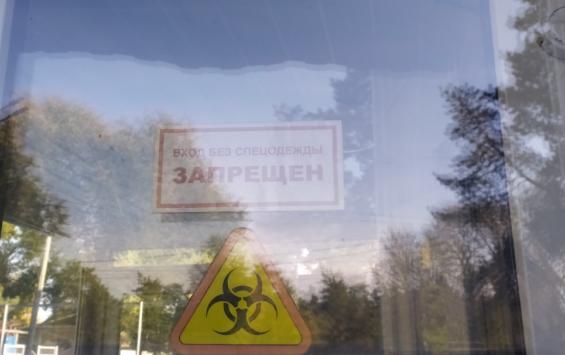 Коронавирус в Курской области: 81 заболевший за сутки
