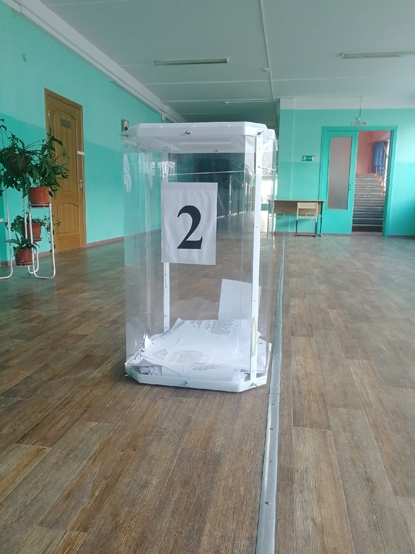 Две интриги Курских выборов