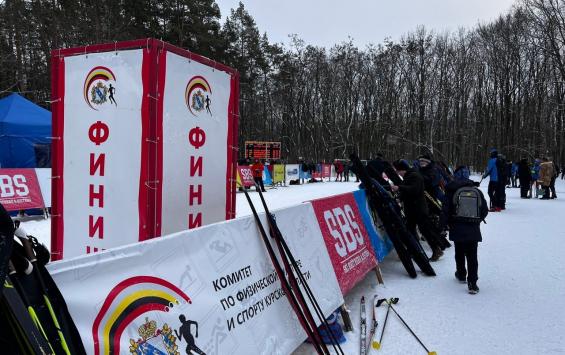 В Курской области пройдет день зимних видов спорта