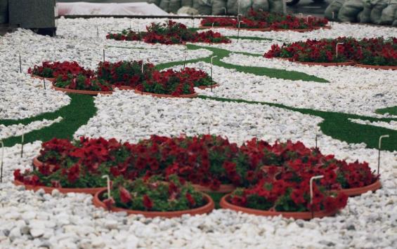 В центре Курска начались работы по обрезке семи тысяч роз