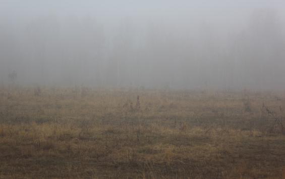 В Курской области обещают туман