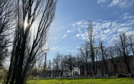 В Курской области 15 мая обещают до 21 градуса тепла