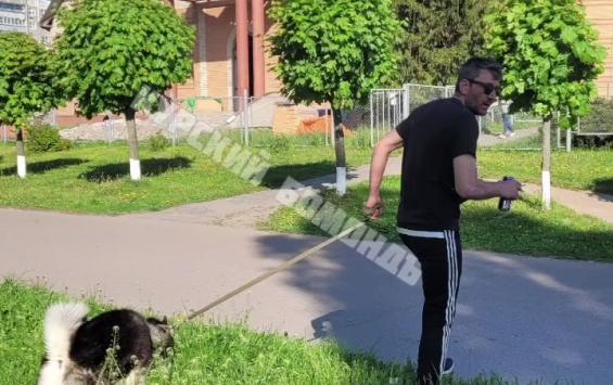 В Курске полиция ищет героя видеозаписи