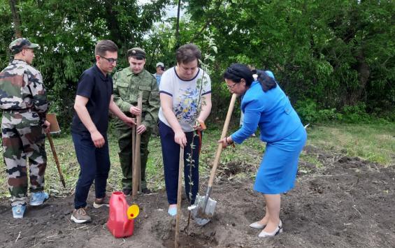 В память о погибших в ходе СВО в Курском районе появился яблоневый сад