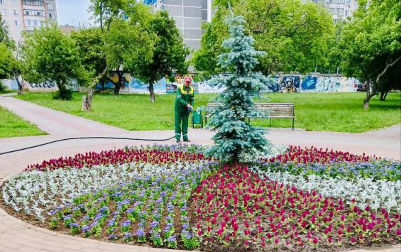 В Курске специалисты высадили около 15 тысяч новых растений