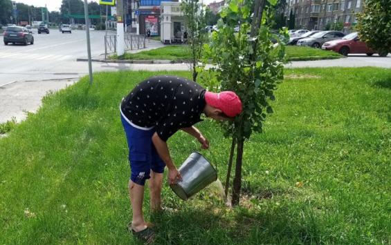 В Курске специалисты ежедневно поливают цветочную рассаду и саженцы