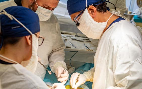 Долгий путь и успешный результат: курские врачи провели операцию по пересадке почки