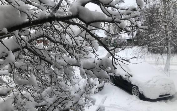 В Курской области ожидается до 7 градусов мороза и снегопады