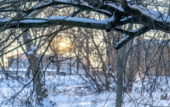 В Курской области 10 января потеплеет до 0 градусов