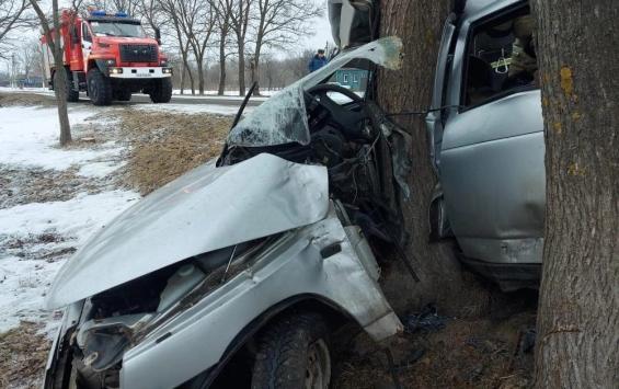 В Курской области водитель и пассажир погибли при столкновении с деревом