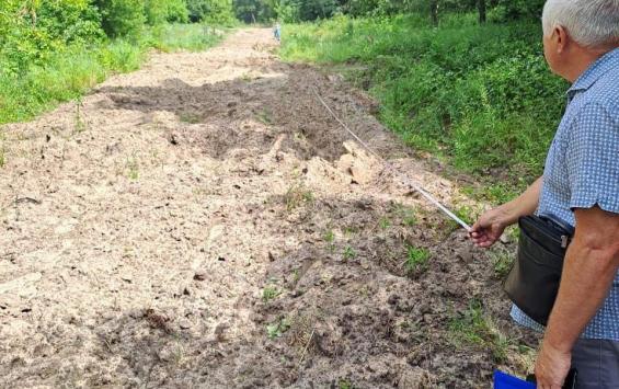 В Курске в урочище «Парк» «черные копатели» уничтожили порядка 5 тысяч саженцев сосен