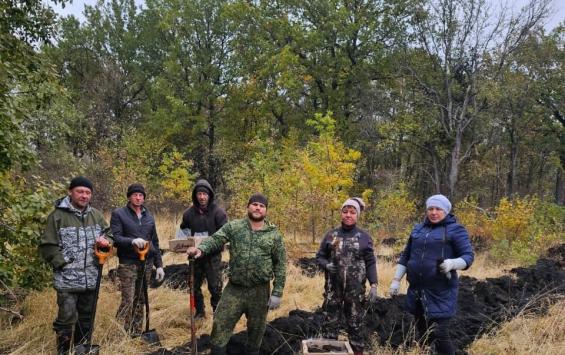 В Курской области восстанавливают лес