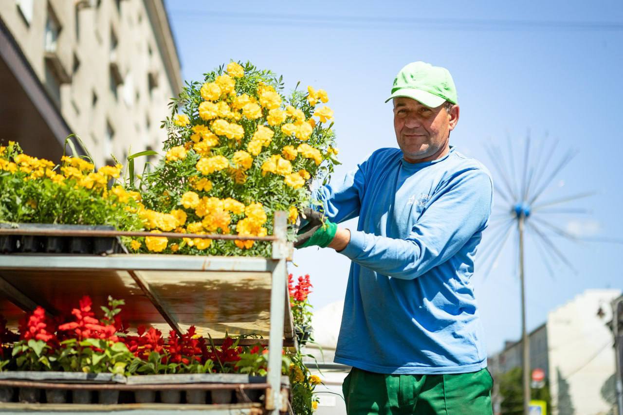 На улице Ленина в Курске меняют весеннее цветочное оформление на летнее