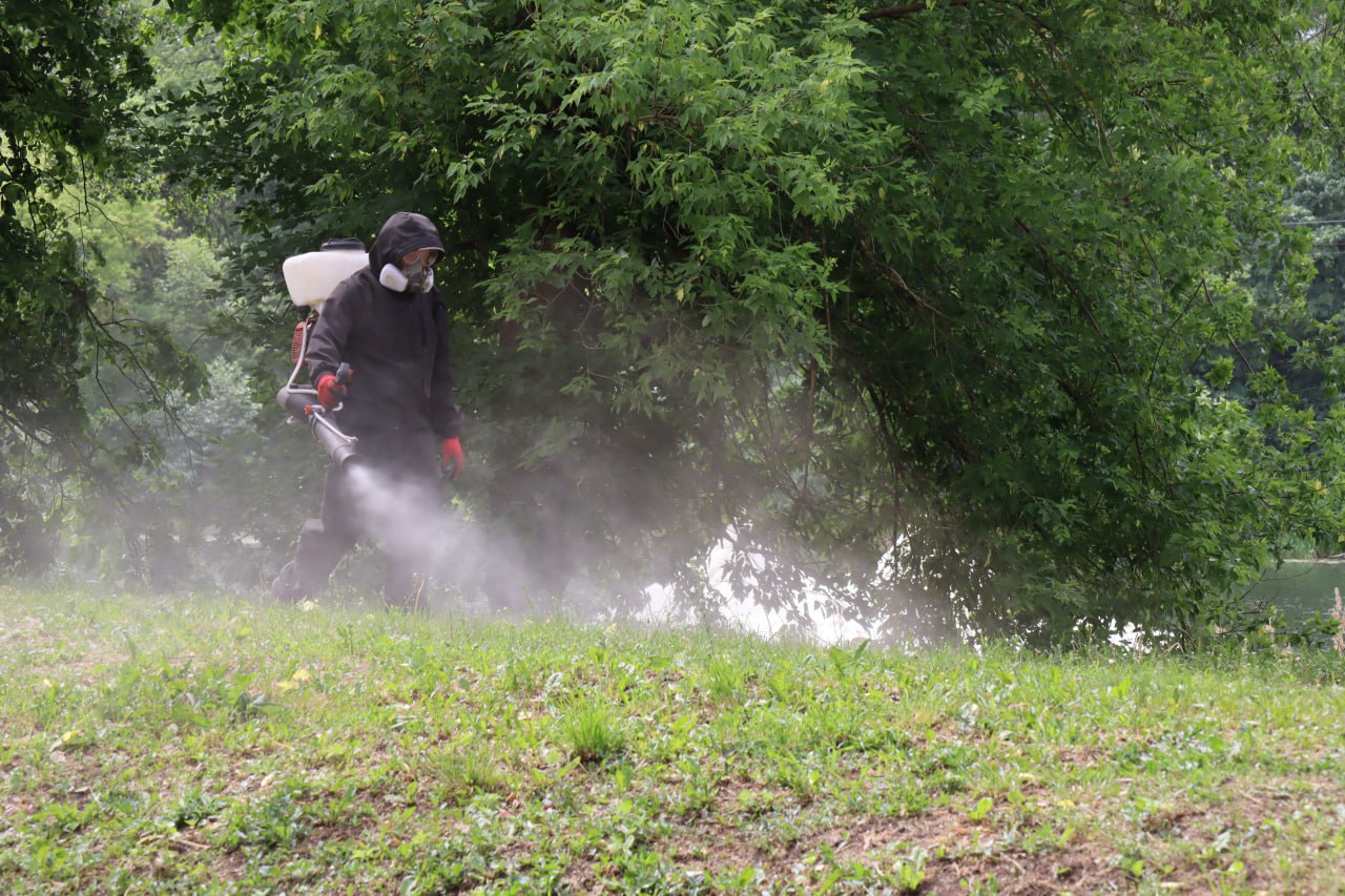 В курском парке «Боева дача» вновь провели обработку от клещей