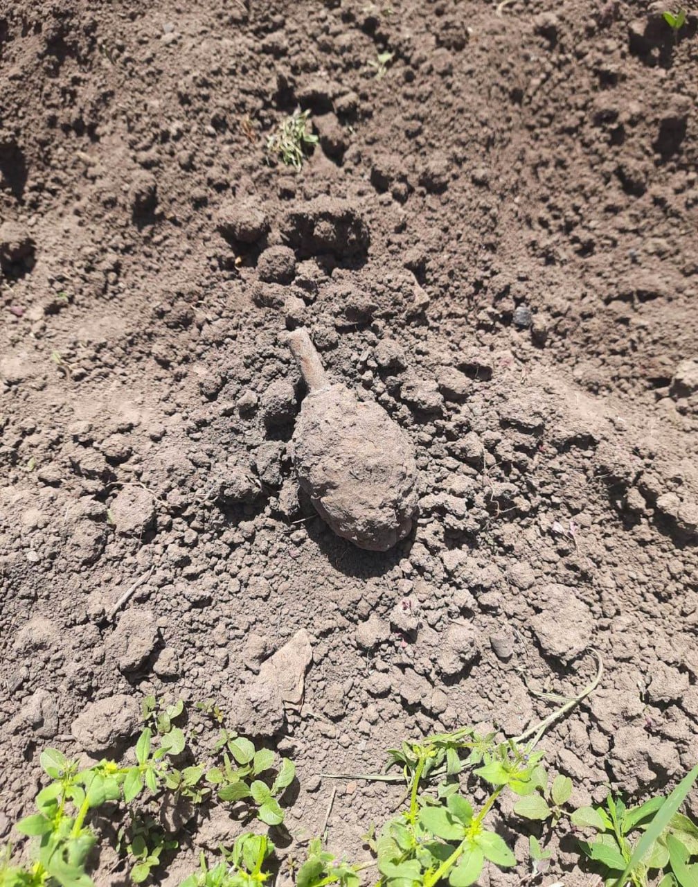 В Обояни уничтожили найденную гранату Ф-1 времен войны