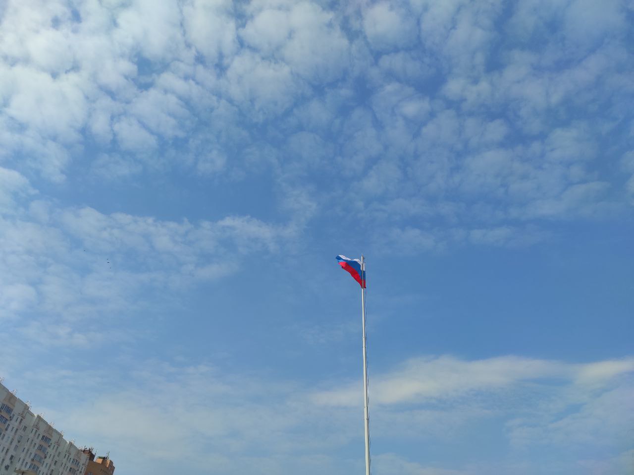 В Курской области установили местонахождение 1 290 ранее пропавших жителей приграничья