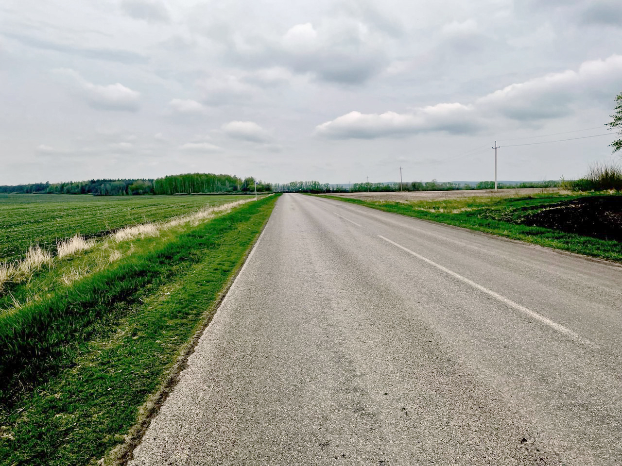 Хинштейн поручил установить в Курской области новые пункты весового контроля