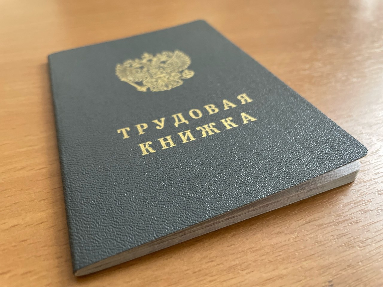 Названы вакансии в Курской области с зарплатами до 300 тысяч рублей