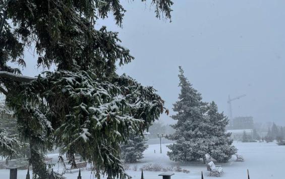 Синоптики обещают курянам завершение тёплого декабря и приход настоящей зимы Синоптики обещают курянам завершение тёплого декабря и приход настоящей зимы