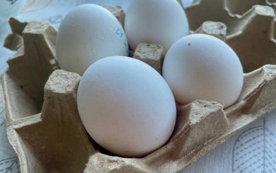 В Курске перед Новым годом выросли цены на огурцы, картофель и яйца