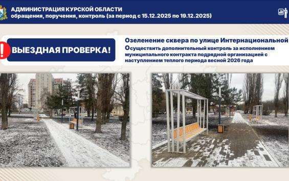 Озеленение сквера «Интернациональный» в Курске перенесли на весну 2026 года