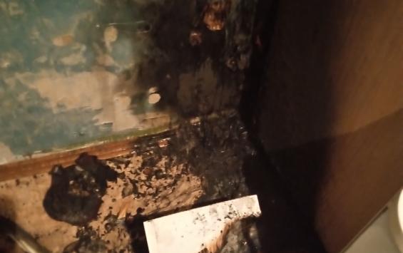 В Золотухинском районе Курской области предотвратили пожар в квартире из-за забытой на плите еды В Золотухинском районе Курской области предотвратили пожар в квартире из-за забытой на плите еды