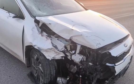 В Курской области в результате ДПТ погиб молодой мотоциклист