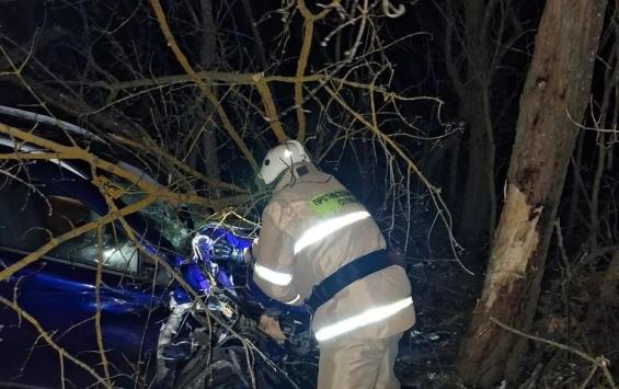 В Курской области 1 апреля «Лада Веста» врезалась в дерево