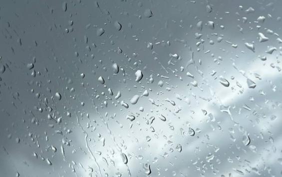 В Курской области 28 апреля ожидаются дожди, сильный ветер и до +11 градусов