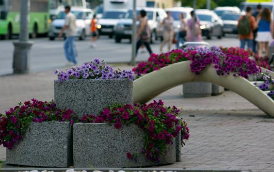 В Курске 4 мая приступят к высадке цветов на городских клумбах