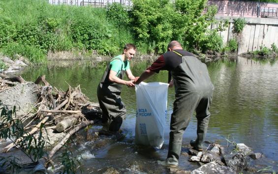 С Утиного острова в Курске вывезли мусор и старые покрышки