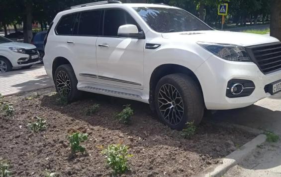Мэр Курчатова раскритиковал водителя за испорченную клумбу с розами Мэр Курчатова раскритиковал водителя за испорченную клумбу с розами