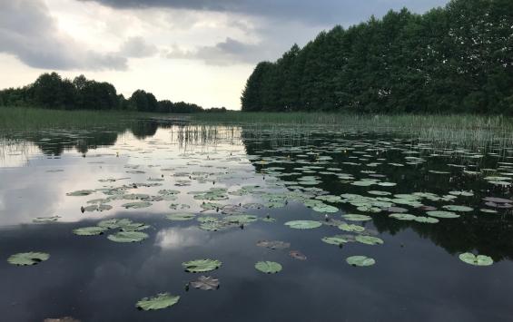 В Курском районе убрали незаконные заборы на берегу Сейма В Курском районе убрали незаконные заборы на берегу Сейма