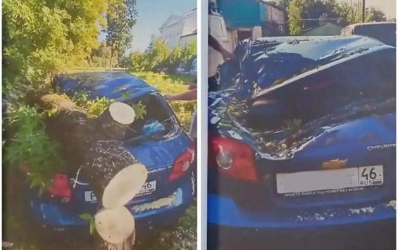 Курянин судился с комитетом городского хозяйства из-за упавшего на его авто дерева Курянин судился с комитетом городского хозяйства из-за упавшего на его авто дерева